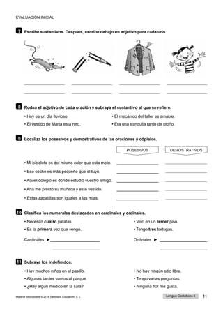 EVALUACIÓN INICIAL
Lengua Castellana 5 11
Material fotocopiable © 2014 Santillana Educación, S. L.
7 Escribe sustantivos. Después, escribe debajo un adjetivo para cada uno.
8 Rodea el adjetivo de cada oración y subraya el sustantivo al que se refiere.
• Hoy es un día lluvioso. • El mecánico del taller es amable.
• El vestido de Marta está roto. • Era una tranquila tarde de otoño.
9 Localiza los posesivos y demostrativos de las oraciones y cópialos.
POSESIVOS DEMOSTRATIVOS
• Mi bicicleta es del mismo color que esta moto.
• Ese coche es más pequeño que el tuyo.
• Aquel colegio es donde estudió vuestro amigo.
• Ana me prestó su muñeca y este vestido.
• Estas zapatillas son iguales a las mías.
10 Clasifica los numerales destacados en cardinales y ordinales.
• Necesito cuatro patatas. • Vivo en un tercer piso.
• Es la primera vez que vengo. • Tengo tres tortugas.
Cardinales ► Ordinales ►
11 Subraya los indefinidos.
• Hay muchos niños en el pasillo.
• Algunas tardes vamos al parque.
• ¿Hay algún médico en la sala?
• No hay ningún sitio libre.
• Tengo varias preguntas.
• Ninguna flor me gusta.
 