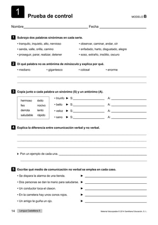 14 Lengua Castellana 5 Material fotocopiable © 2014 Santillana Educación, S. L.
1 Prueba de control MODELO B
Nombre Fecha
1 Subraya dos palabras sinónimas en cada serie.
• tranquilo, inquieto, alto, nervioso • observar, caminar, andar, oír
• senda, valle, orilla, camino • enfadado, harto, disgustado, alegre
• proseguir, parar, realizar, detener • soso, extraño, insólito, oscuro
2 Di qué palabra no es antónima de minúsculo y explica por qué.
• mediano • gigantesco • colosal • enorme
3 Copia junto a cada palabra un sinónimo (S) y un antónimo (A).
hermoso éxito
feo nocivo
derrota lento
saludable rápido
• triunfo ► S: A:
• bello ► S: A:
• veloz ► S: A:
• sano ► S: A:
4 Explica la diferencia entre comunicación verbal y no verbal.
Pon un ejemplo de cada una.
5 Escribe qué medio de comunicación no verbal se emplea en cada caso.
• Se dispara la alarma de una tienda. ►
• Dos personas se dan la mano para saludarse. ►
• Un conductor toca el claxon. ►
• En la carretera hay unos conos rojos. ►
• Un amigo te guiña un ojo. ►
 
