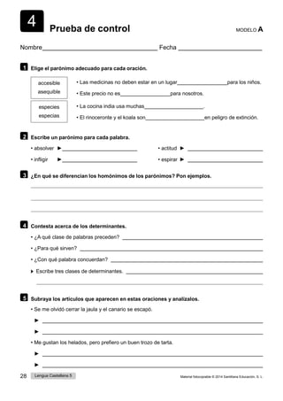 4
28 Lengua Castellana 5 Material fotocopiable © 2014 Santillana Educación, S. L.
Prueba de control MODELO A
Nombre Fecha
1 Elige el parónimo adecuado para cada oración.
accesible
asequible
• Las medicinas no deben estar en un lugar para los niños.
• Este precio no es para nosotros.
especies
especias
• La cocina india usa muchas .
• El rinoceronte y el koala son en peligro de extinción.
2 Escribe un parónimo para cada palabra.
• absolver ► • actitud ►
• infligir ► • espirar ►
3 ¿En qué se diferencian los homónimos de los parónimos? Pon ejemplos.
4 Contesta acerca de los determinantes.
• ¿A qué clase de palabras preceden?
• ¿Para qué sirven?
• ¿Con qué palabra concuerdan?
Escribe tres clases de determinantes.
5 Subraya los artículos que aparecen en estas oraciones y analízalos.
• Se me olvidó cerrar la jaula y el canario se escapó.
►
►
• Me gustan los helados, pero prefiero un buen trozo de tarta.
►
►
 