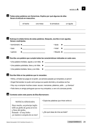 4
Lengua Castellana 5 29
Material fotocopiable © 2014 Santillana Educación, S. L.
MODELO A
6 Todas estas palabras son femeninas. Explica por qué algunas de ellas
llevan el artículo en masculino.
el hacha una mesa la armadura un águila
7 Subraya la sílaba tónica de estas palabras. Después, escribe si son agudas,
llanas o esdrújulas.
• termómetro ► • tecla ►
• taza ► • hotel ►
• salmón ► • filósofo ►
8 Escribe una palabra que cumpla todas las características indicadas en cada caso.
• Una palabra trisílaba, aguda y con tilde. ►
• Una palabra polisílaba, llana y sin tilde. ►
• Una palabra bisílaba, llana y con tilde. ►
9 Escribe tilde en las palabras que lo necesiten.
• Niños, al futbol se juega en el jardin; ¡la semana pasada ya rompisteis un jarron!
• Angel Hernandez no pudo venir porque se quedo dormido y el autobus se fue.
• Hoy voy a comprar muchas cosas: azucar, manzanas, platanos, pollo… ¡y champu!
• Felix tiene un amigo portugues que es muy simpatico; a ver si lo conoces pronto.
10 Contesta sobre este poema de Elsa Bornemann:
NOTICIAATRASADA
Hace mucho, un príncipe inglés
• Copia las palabras que riman entre sí.
infló un globo de goma al revés
y lleno del globo,
flotando –el muy bobo–
¡se mantuvo cerquita de un mes!
• ¿De qué clase de rima se trata?
 