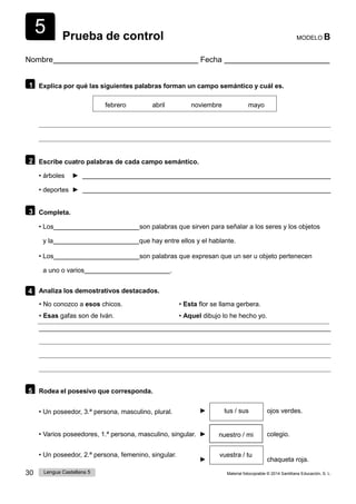5
30 Lengua Castellana 5 Material fotocopiable © 2014 Santillana Educación, S. L.
Prueba de control MODELO B
Nombre Fecha
1 Explica por qué las siguientes palabras forman un campo semántico y cuál es.
febrero abril noviembre mayo
2 Escribe cuatro palabras de cada campo semántico.
• árboles ►
• deportes ►
3 Completa.
• Los son palabras que sirven para señalar a los seres y los objetos
y la que hay entre ellos y el hablante.
• Los son palabras que expresan que un ser u objeto pertenecen
a uno o varios .
4 Analiza los demostrativos destacados.
• No conozco a esos chicos.
• Esas gafas son de Iván.
• Esta flor se llama gerbera.
• Aquel dibujo lo he hecho yo.
5 Rodea el posesivo que corresponda.
• Un poseedor, 3.ª persona, masculino, plural. ► tus / sus ojos verdes.
• Varios poseedores, 1.ª persona, masculino, singular. ► colegio.
• Un poseedor, 2.ª persona, femenino, singular.
►
vuestra / tu
chaqueta roja.
nuestro / mi
 