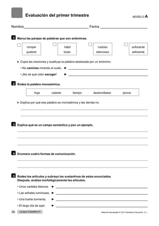 36 Lengua Castellana 5 Material fotocopiable © 2014 Santillana Educación, S. L.
Evaluación del primer trimestre MODELO A
Nombre Fecha
1 Marca las parejas de palabras que son antónimas.
romper
quebrar
hábil
torpe
ruidoso
silencioso
sofocante
asfixiante
Copia las oraciones y sustituye la palabra destacada por un sinónimo.
• No camines mirando al suelo. ►
• ¡No sé qué color escoger! ►
2 Rodea la palabra monosémica.
hoja volante tiempo destornillador pluma
Explica por qué esa palabra es monosémica y las demás no.
3 Explica qué es un campo semántico y pon un ejemplo.
4 Enumera cuatro formas de comunicación.
5 Rodea los artículos y subraya los sustantivos de estos enunciados.
Después, analiza morfológicamente los artículos.
• Unos carteles blancos. ►
• Las señales luminosas. ►
• Una fuerte tormenta. ►
• El largo día de ayer. ►
 
