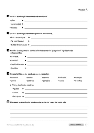 Lengua Castellana 5 37
Material fotocopiable © 2014 Santillana Educación, S. L.
MODELO A
6 Analiza morfológicamente estos sustantivos:
• piara ►
• generosidad ►
• teclado ►
7 Analiza morfológicamente las palabras destacadas.
• Esa casa antigua. ►
• Tu mochila azul. ►
• Estos libros nuevos. ►
8 Escribe cuatro palabras con las distintas letras con que pueden representarse
estos sonidos.
• Sonido K ►
• Sonido Z ►
• Sonido G suave ►
• Sonido J ►
9 Coloca la tilde en las palabras que lo necesiten.
• balancin • satelite • estudio • dieciseis • huesped
• genial • cambiais • periodico • queso • Sanchez
Ahora, clasifica las palabras.
• Agudas ►
• Llanas ►
• Esdrújulas ►
10 Piensa en una profesión que te gustaría ejercer y escribe sobre ella.
 