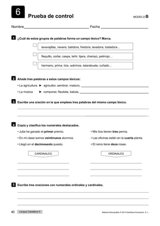 6
40 Lengua Castellana 5 Material fotocopiable © 2014 Santillana Educación, S. L.
Prueba de control MODELO B
Nombre Fecha
1 ¿Cuál de estos grupos de palabras forma un campo léxico? Marca.
lavavajillas, nevera, batidora, freidora, lavadora, tostadora…
flequillo, cortar, caspa, teñir, tijera, champú, pelirrojo…
hermano, prima, tíos, sobrinos, tatarabuela, cuñado…
2 Añade tres palabras a estos campos léxicos:
• La agricultura ► agricultor, sembrar, maduro,
• La música ► componer, flautista, batuta,
3 Escribe una oración en la que emplees tres palabras del mismo campo léxico.
4 Copia y clasifica los numerales destacados.
• Julia ha ganado el primer premio. • Mis tíos tienen tres perros.
• En mi clase somos veintinueve alumnos. • Las oficinas están en la cuarta planta.
• Llegó en el decimosexto puesto. • El ramo tiene doce rosas.
CARDINALES ORDINALES
5 Escribe tres oraciones con numerales ordinales y cardinales.
 