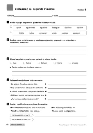 60 Lengua Castellana 5 Material fotocopiable © 2014 Santillana Educación, S. L.
Evaluación del segundo trimestre MODELO B
Nombre Fecha
1 Marca el grupo de palabras que forma un campo léxico.
aguar aguafiestas aguacero desaguar aguadilla aguador
billete maleta embarcar turista equipaje pasajero
2 Explica cómo se ha formado la palabra pasatiempo y responde: ¿es una palabra
compuesta o derivada?
3 Marca las palabras que forman parte de la misma familia.
fruta frutero disfrutar frutería afrutado
Explica qué es una familia de palabras.
4 Subraya los adjetivos e indica su grado.
• La gata de Almudena es muy lista. ►
• Hay una torre más alta que otra en la isla. ►
• Juan es un simpático compañero de María. ►
• Había un payaso menos gracioso que otro. ►
• ¿Tu hermana es tan rubia como tú? ►
5 Copia y clasifica los pronombres destacados.
• Nosotros le haremos una tarta de manzana.
• Vosotros no las habéis visto todavía.
• Ella os acompañará hasta allí.
• Mañana yo iré contigo al cine.
PRONOMBRES ÁTONOS
PRONOMBRES TÓNICOS
 