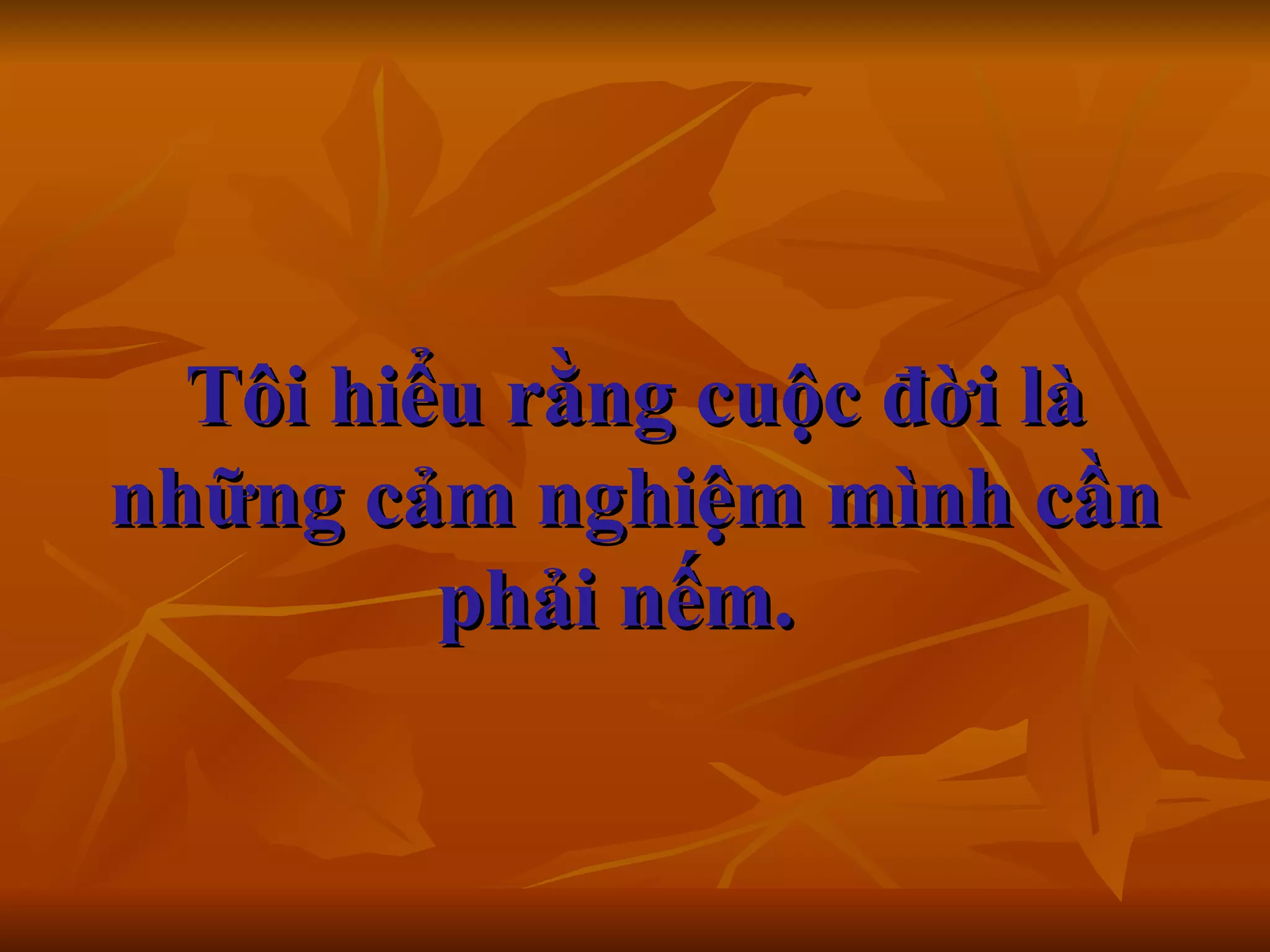 Tôi hiểu rằng cuộc đời là những cảm nghiệm mình cần phải nếm.      