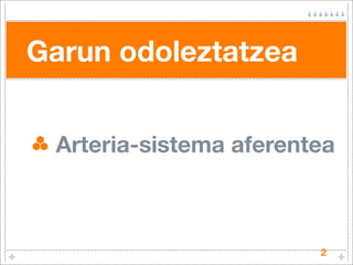 Garun odoleztatzea