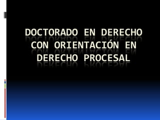 DOCTORADO EN DERECHO
 CON ORIENTACIÓN EN
  DERECHO PROCESAL
 