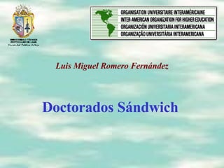 Doctorados S ándwich  Luis Miguel Romero Fernández 
