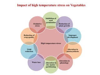 High temperature stress
Inhibition of
seed
germination
Reduction of
plant growth
Improper
development
Alteration in
photosynthesis
Alteration in
phenologyAlteration in
dry matter
partitioning
Water loss
Yield
reduction
Reduction of
crop quality
Oxidative
stress
Impact of high temperature stress on Vegetables
 