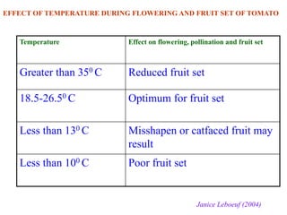 Temperature Effect on flowering, pollination and fruit set
Greater than 350 C Reduced fruit set
18.5-26.50 C Optimum for fruit set
Less than 130 C Misshapen or catfaced fruit may
result
Less than 100 C Poor fruit set
EFFECT OF TEMPERATURE DURING FLOWERING AND FRUIT SET OF TOMATO
Janice Leboeuf (2004)
 