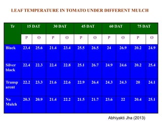 Tr 15 DAT 30 DAT 45 DAT 60 DAT 75 DAT
P O P O P O P O P O
Black 23.4 25.6 21.4 23.4 25.5 26.5 24 26.9 20.2 24.9
Silver
black
22.4 22.3 22.4 22.8 25.1 26.7 24.9 24.6 20.2 25.4
Transp
arent
22.2 23.3 21.6 22.6 22.9 26.4 24.3 24.3 20 24.1
No
Mulch
20.3 20.9 21.4 22.2 21.5 21.7 23.6 22 20.4 25.1
LEAF TEMPERATURE IN TOMATO UNDER DIFFERENT MULCH
Abhiyakti Jha (2013)
 