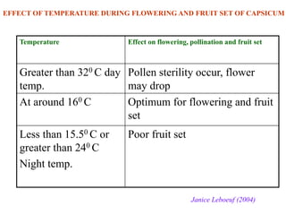 Temperature Effect on flowering, pollination and fruit set
Greater than 320 C day
temp.
Pollen sterility occur, flower
may drop
At around 160 C Optimum for flowering and fruit
set
Less than 15.50 C or
greater than 240 C
Night temp.
Poor fruit set
Janice Leboeuf (2004)
EFFECT OF TEMPERATURE DURING FLOWERING AND FRUIT SET OF CAPSICUM
 