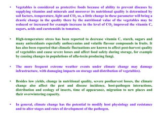 • Vegetables is considered as protective foods because of ability to prevent diseases by
supplying vitamins and minerals and moreover its nutritional quality is determined by
soil factors, temperature, light and CO2 so, a little change in these parameter will bring a
drastic change in the quality there by the nutritional value of the vegetables may be
reduced or increased for example increase in the level of CO2 improved the vitamin C,
sugars, acids and carotenoids in tomatoes.
• High-temperature stress has been reported to decrease vitamin C, starch, sugars and
many antioxidants especially anthocyanins and volatile flavour compounds in fruits. It
has also been reported that climatic fluctuations are known to affect post-harvest quality
of vegetables and cause severe losses and affect food safety during storage, for example
by causing changes in populations of afla-toxin producing fungi.
• The more frequent extreme weather events under climate change may damage
infrastructure, with damaging impacts on storage and distribution of vegetables).
• Besides low yields, change in nutritional quality, severe postharvest losses, the climate
change also affect the pest and disease incidence, host-pathogen interactions,
distribution and ecology of insects, time of appearance, migration to new places and
their overwintering capacity.
• In general, climate change has the potential to modify host physiology and resistance
and to alter stages and rates of development of the pathogen.
 