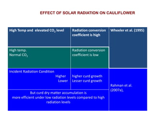 High Temp and elevated CO2 level Radiation conversion
coefficient is high
Wheeler et al. (1995)
High temp.
Normal CO2
Radiation conversion
coefficient is low
Incident Radiation Condition
Higher
Lower
higher curd growth
Lesser curd growth
Rahman et al.
(2007a),
But curd dry matter accumulation is
more efficient under low radiation levels compared to high
radiation levels
EFFECT OF SOLAR RADIATION ON CAULIFLOWER
 