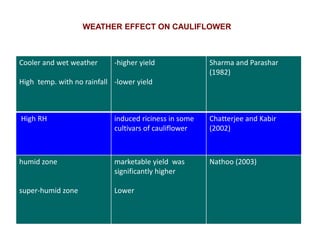 Cooler and wet weather
High temp. with no rainfall
-higher yield
-lower yield
Sharma and Parashar
(1982)
High RH induced riciness in some
cultivars of cauliflower
Chatterjee and Kabir
(2002)
humid zone
super-humid zone
marketable yield was
significantly higher
Lower
Nathoo (2003)
WEATHER EFFECT ON CAULIFLOWER
 