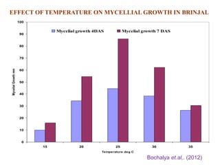 0
10
20
30
40
50
60
70
80
90
100
15 20 25 30 35
Temperature deg C
MycelialGrowthmm
Mycelial growth 4DAS Mycelial growth 7 DAS
EFFECT OF TEMPERATURE ON MYCELLIAL GROWTH IN BRINJAL
Bochalya et.al,. (2012)
 