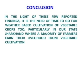 CONCLUSION
IN THE LIGHT OF THESE FEW REPORTED
FINDINGS, IT IS THE NEED OF TIME TO GO FOR
WEATHER BASED CULTIVATION OF VEGETABLE
CROPS TOO, PARTICULARLY IN OUR STATE
JHARKHAND WHERE A MAJORITY OF FARMERS
EARN THEIR LIVELIHOOD FROM VEGETABLE
CULTIVATION
 