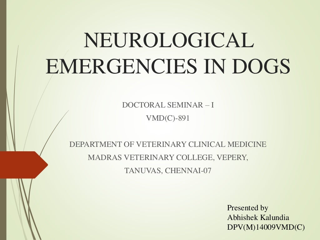 AN APPROACH TO NEUROLOGICAL EMERGENCIES IN DOGS