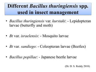 Different Bacillus thuringiensis spp.
used in insect management
• Bacillus thuringiensis var. kurstaki: - Lepidopteran
larvae (butterfly and moth)
• Bt var. israelensis: - Mosquito larvae
• Bt var. sandiego: - Coleopteran larvae (Beetles)
• Bacillus popillae: - Japanese beetle larvae
(Dr. D. S. Reddy 2010)
 