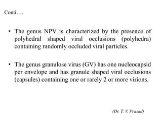 • The genus NPV is characterized by the presence of
polyhedral shaped viral occlusions (polyhedra)
containing randomly occluded viral particles.
• The genus granulose virus (GV) has one nucleocapsid
per envelope and has granule shaped viral occlusions
(capsules) containing one or rarely 2 or more virions.
(Dr. T. V. Prasad)
Conti….
 