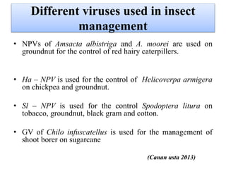 Different viruses used in insect
management
• NPVs of Amsacta albistriga and A. moorei are used on
groundnut for the control of red hairy caterpillers.
• Ha – NPV is used for the control of Helicoverpa armigera
on chickpea and groundnut.
• Sl – NPV is used for the control Spodoptera litura on
tobacco, groundnut, black gram and cotton.
• GV of Chilo infuscatellus is used for the management of
shoot borer on sugarcane
(Canan usta 2013)
 