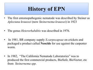 History of EPN
• The first entomopathogenic nematode was described by Steiner as
Aplectana kraussei (now Steinernema kraussei) in 1923
• The genus Heterorhabditis was described in 1976.
• In 1981, BR company supply S.carpocapsae on crickets and
packaged a product called Neocide for use against the carpenter
worm.
• In 1982, “The California Nematode Laboratories” was to
produced the first commercial products, BioSafe, BioVector, etc
from Steinernema spp.
 