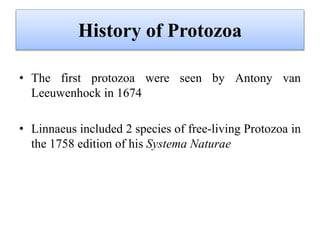 • The first protozoa were seen by Antony van
Leeuwenhock in 1674
• Linnaeus included 2 species of free-living Protozoa in
the 1758 edition of his Systema Naturae
History of Protozoa
 