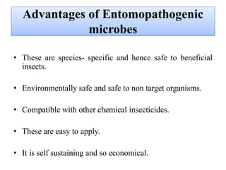 Advantages of Entomopathogenic
microbes
• These are species- specific and hence safe to beneficial
insects.
• Environmentally safe and safe to non target organisms.
• Compatible with other chemical insecticides.
• These are easy to apply.
• It is self sustaining and so economical.
 