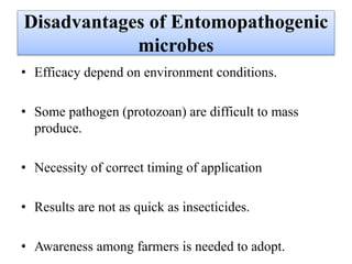 • Efficacy depend on environment conditions.
• Some pathogen (protozoan) are difficult to mass
produce.
• Necessity of correct timing of application
• Results are not as quick as insecticides.
• Awareness among farmers is needed to adopt.
Disadvantages of Entomopathogenic
microbes
 