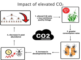 Impact of climate change on insect pest | PPTX
