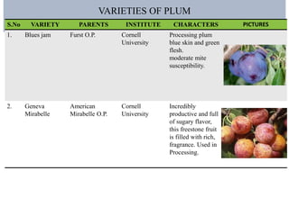 NATIONAL AND INTERNATIONAL SCENARIO IN FRUIT PRODUCTION, IMPROVED ...