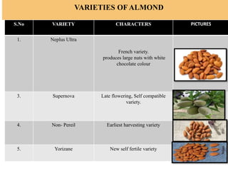 NEW IMPROVED VARITIES OF FRUITS AND HYBRIDS | PPTX