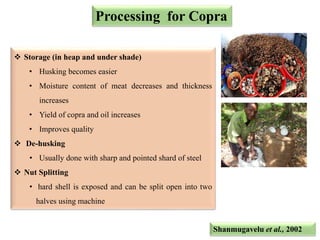 Copra Processing Methods Recent advances in quality and processing of plantation crops in India ...