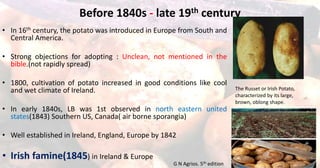 Before 1840s - late 19th century
• In 16th century, the potato was introduced in Europe from South and
Central America.
• Strong objections for adopting : Unclean, not mentioned in the
bible.(not rapidly spread)
• 1800, cultivation of potato increased in good conditions like cool
and wet climate of Ireland.
• In early 1840s, LB was 1st observed in north eastern united
states(1843) Southern US, Canada( air borne sporangia)
• Well established in Ireland, England, Europe by 1842
• Irish famine(1845) in Ireland & Europe 11
The Russet or Irish Potato,
characterized by its large,
brown, oblong shape.
G N Agrios. 5th edition
 