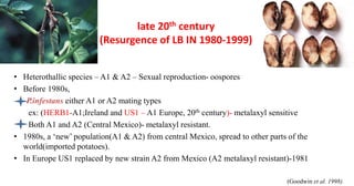 late 20th century
(Resurgence of LB IN 1980-1999)
• Heterothallic species – A1 & A2 – Sexual reproduction- oospores
• Before 1980s,
P.infestans either A1 or A2 mating types
ex: (HERB1-A1;Ireland and US1 – A1 Europe, 20th century)- metalaxyl sensitive
Both A1 and A2 (Central Mexico)- metalaxyl resistant.
• 1980s, a ‘new’ population(A1 & A2) from central Mexico, spread to other parts of the
world(imported potatoes).
• In Europe US1 replaced by new strain A2 from Mexico (A2 metalaxyl resistant)-1981
(Goodwin et al. 1998).
 