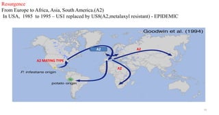 19
A2 MATING TYPE
A2
A2
Resurgence
From Europe to Africa, Asia, South America.(A2)
In USA, 1985 to 1995 – US1 replaced by US8(A2,metalaxyl resistant) - EPIDEMIC
A2
 