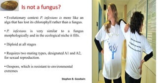 • Evolutionary context P. infestans is more like an
alga that has lost its chlorophyll rather than a fungus.
• P. infestans is very similar to a fungus
morphologically and in the ecological niche it fills.
• Diploid at all stages
• Requires two mating types, designated A1 and A2,
for sexual reproduction.
• Oospore, which is resistant to environmental
extremes
Is not a fungus?
Stephen B. Goodwin
 