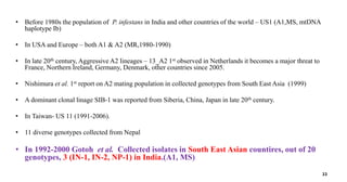 • Before 1980s the population of P. infestans in India and other countries of the world – US1 (A1,MS, mtDNA
haplotype Ib)
• In USA and Europe – both A1 & A2 (MR,1980-1990)
• In late 20th century, Aggressive A2 lineages – 13_A2 1st observed in Netherlands it becomes a major threat to
France, Northern Ireland, Germany, Denmark, other countries since 2005.
• Nishimura et al. 1st report on A2 mating population in collected genotypes from South East Asia (1999)
• A dominant clonal linage SIB-1 was reported from Siberia, China, Japan in late 20th century.
• In Taiwan- US 11 (1991-2006).
• 11 diverse genotypes collected from Nepal
• In 1992-2000 Gotoh et al. Collected isolates in South East Asian countires, out of 20
genotypes, 3 (IN-1, IN-2, NP-1) in India.(A1, MS)
22
 
