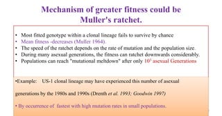 Mechanism of greater fitness could be
Muller's ratchet.
• Most fitted genotype within a clonal lineage fails to survive by chance
• Mean fitness -decreases (Muller 1964).
• The speed of the ratchet depends on the rate of mutation and the population size.
• During many asexual generations, the fitness can ratchet downwards considerably.
• Populations can reach "mutational meltdown" after only 103 asexual Generations
27
•Example: US-1 clonal lineage may have experienced this number of asexual
generations by the 1980s and 1990s (Drenth et al. 1993; Goodwin 1997)
• By occurrence of fastest with high mutation rates in small populations.
 