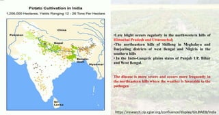 3
•Late blight occurs regularly in the northwestern hills of
Himachal Pradesh and Uttaranchal;
•The northeastern hills of Shillong in Meghalaya and
Darjeeling districts of west Bengal and Nilgiris in the
southern hills
• In the Indo-Gangetic plains states of Punjab UP, Bihar
and West Bengal.
The disease is more severe and occurs more frequently in
the northeastern hills where the weather is favorable to the
pathogen
https://research.cip.cgiar.org/confluence/display/GILBWEB/India
 