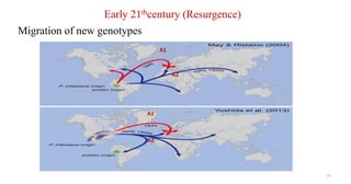 33
Early 21thcentury (Resurgence)
A2
A1
A1
A2
Migration of new genotypes
 