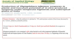42
•Oospore formation - when the ambient r.h. declined to 74% and moisture content of host tissue decreased to
83.7–85.6%. (INOCULATED PLANTS)
• It took 8 days (cv. Kufri Chandramukhi) to 13 days (cv. Kufri Jyoti and Kufri Badshah) for oospores to
develop.
•Oospores produced in vitro remained viable when buried in soil in the temperate highlands of Himachal
Pradesh and sub-tropical plains of Uttar Pradesh, India for more than 150 days, i.e. beginning of the next crop
season.
 