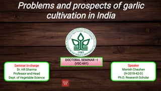 Problems and prospects of garlic
cultivation in India
DOCTORAL SEMINAR –I
(VSC-691)
Seminar In-charge
Dr. HR Sharma
Professor and Head
Dept. of Vegetable Science
Speaker
Manish Chauhan
(H-2018-42-D)
Ph.D. Research Scholar
 