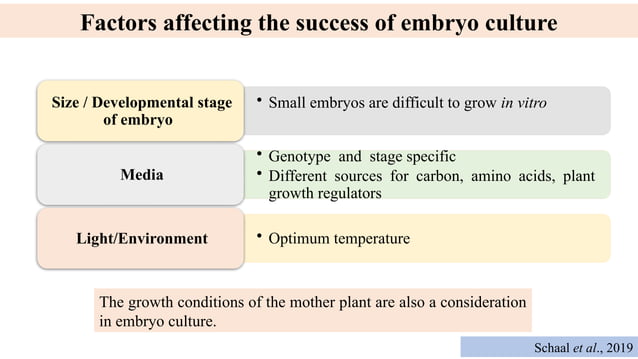 'Embryo rescue technique in fruit crops' | PPT