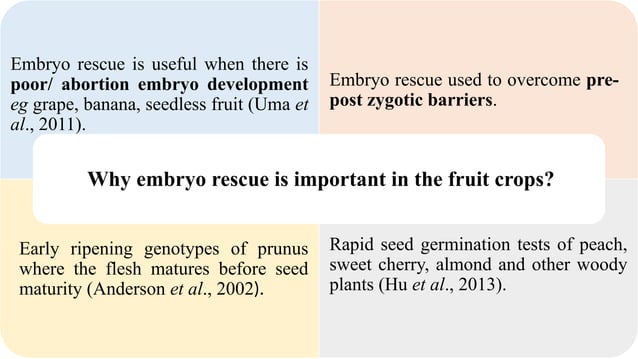 'Embryo rescue technique in fruit crops' | PPT
