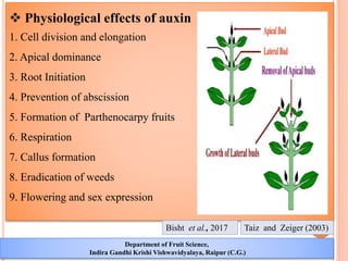 Study of plant growth regulators in fruit culture – structure ...