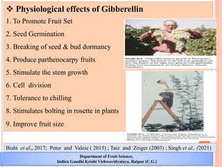 Study of plant growth regulators in fruit culture – structure ...
