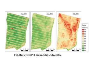 Fig. Barley: NDVI maps, May-July, 2016.
 