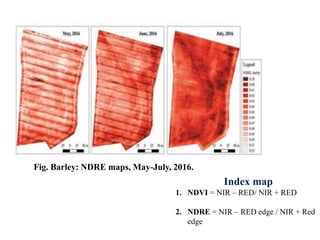 Fig. Barley: NDRE maps, May-July, 2016.
Index map
1. NDVI = NIR – RED/ NIR + RED
2. NDRE = NIR – RED edge / NIR + Red
edge
 